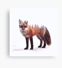 fox Canvas Print