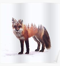 fox Poster