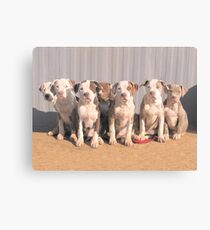 My Little Rascals Canvas Print