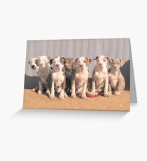My Little Rascals Greeting Card