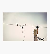 Communication Photographic Print