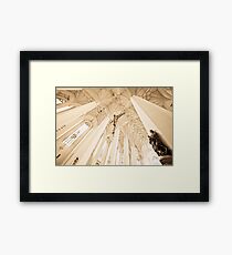 Jesus Framed Print