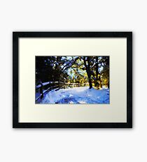 Winter Framed Print