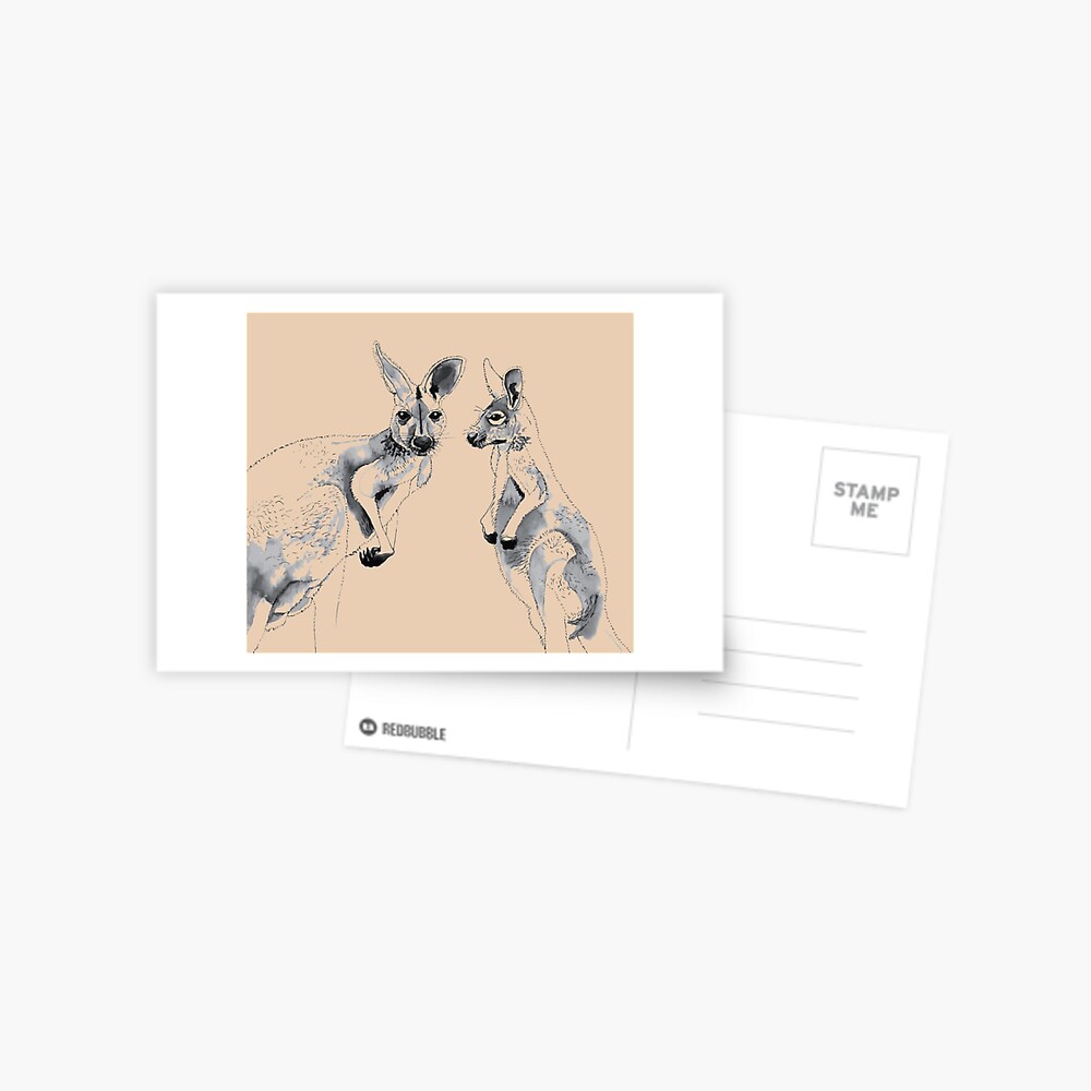 Kangaroos Black and White Postcard