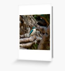 KINGFISHER ~ SC ~ WO ~ Sacred Kingfisher by David Irwin 031019 Greeting Card