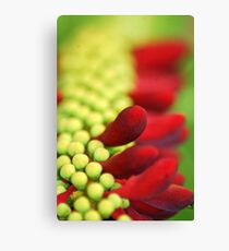 Balloon - Brazil Canvas Print