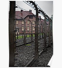 auschwitz Poster