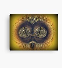 I Look At You :-) Canvas Print