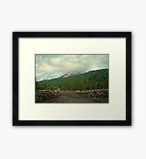 K9 Framed Print