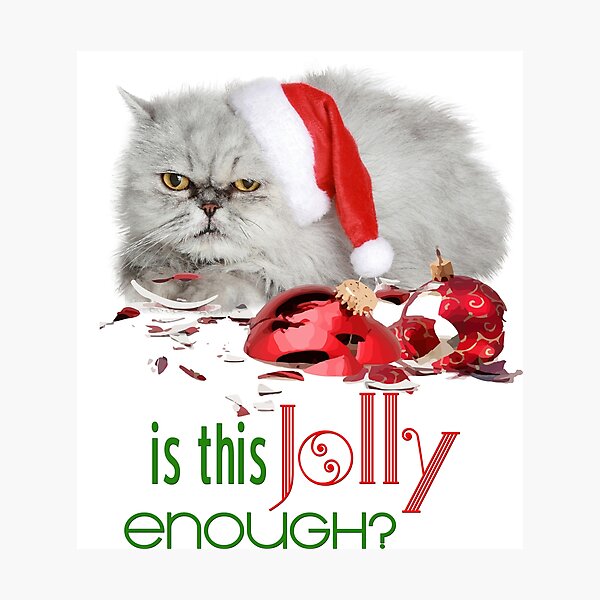 Funny Christmas Cat Jolly Enough Photographic Print
