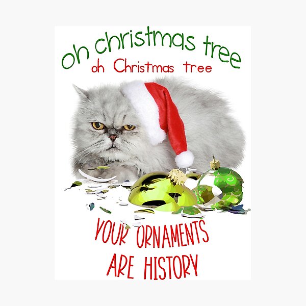 Funny Christmas Cat Oh Christmas Tree Photographic Print