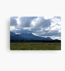 grampians Canvas Print