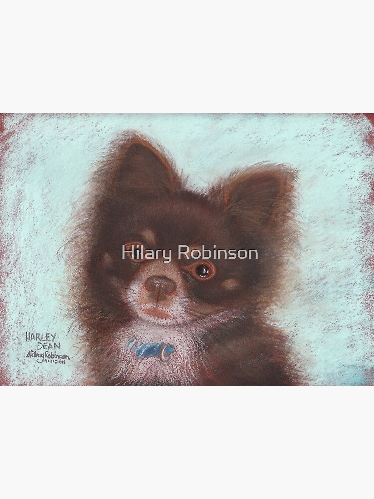 Harley Dean Long Haired Chihuahua Greeting Card By