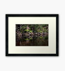 Surprise Location Framed Print