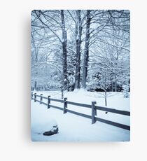 blue fence and trees Canvas Print