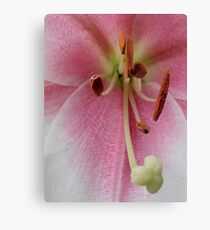Stamen Canvas Print