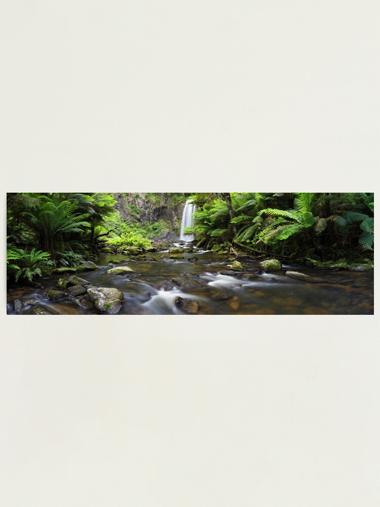 Alternate view of Hopetoun Falls, Otways, Great Ocean Road, Australia Photographic Print