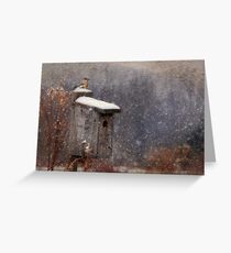 Apartment 25 Greeting Card