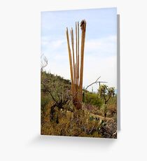 Serenity Greeting Card