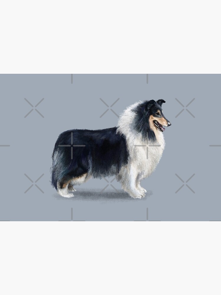 Tri Coloured Rough Collie by elspethrose