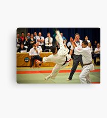 fight 1 Canvas Print