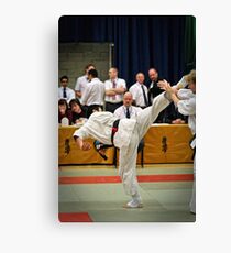 Fight 2 Canvas Print