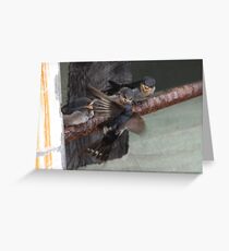 Lunch time Greeting Card