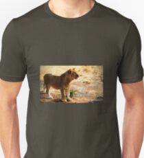 Zimbabwe Young Lion... Unisex T-Shirt