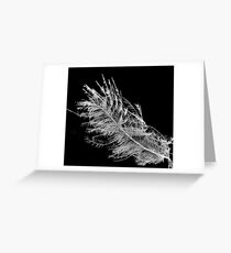 Floating Feather Greeting Card