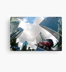 Canary Canvas Print