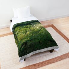 Buda hills Comforter