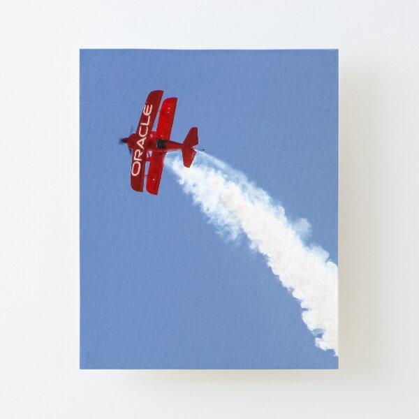 Acrobatic Oracle Canvas Mounted Print