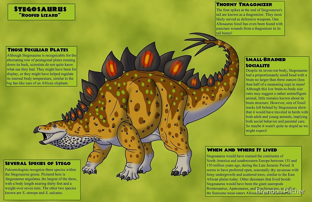 stegosaurus family