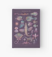 Sea life specimens III Hardcover Journal