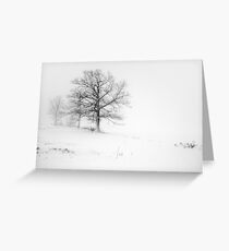 BOUNDARY Greeting Card