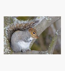 Gray Haired Beauty Photographic Print
