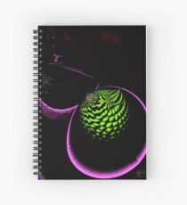 Time Lapse Spiral Notebook