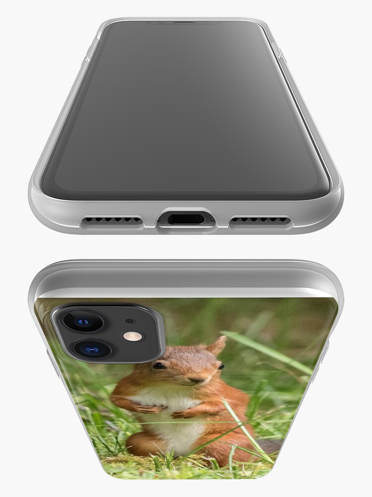 Alternate view of Squirrel in the grass iPhone Case & Cover