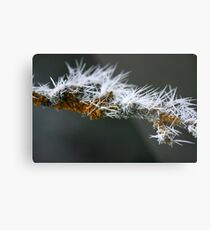 monster almond tree Metal Print