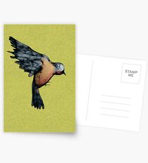 Postales Scribbler Bird