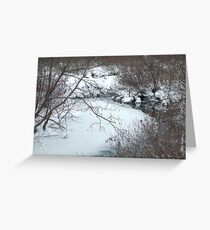 Winter Freeze Greeting Card