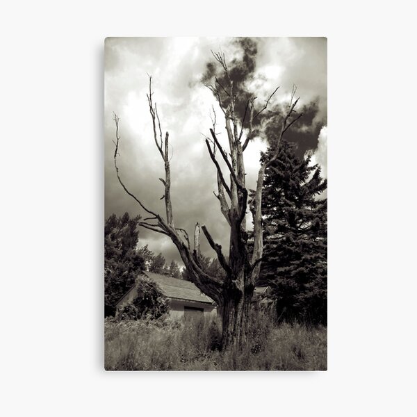 My Time Has Ended Canvas Print