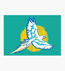 Macaw Blue and Yellow Bird Tropical Photographic Print