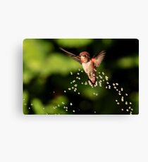 TINY BUBBLES~10 Canvas Print
