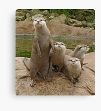 The power of otter Canvas Print