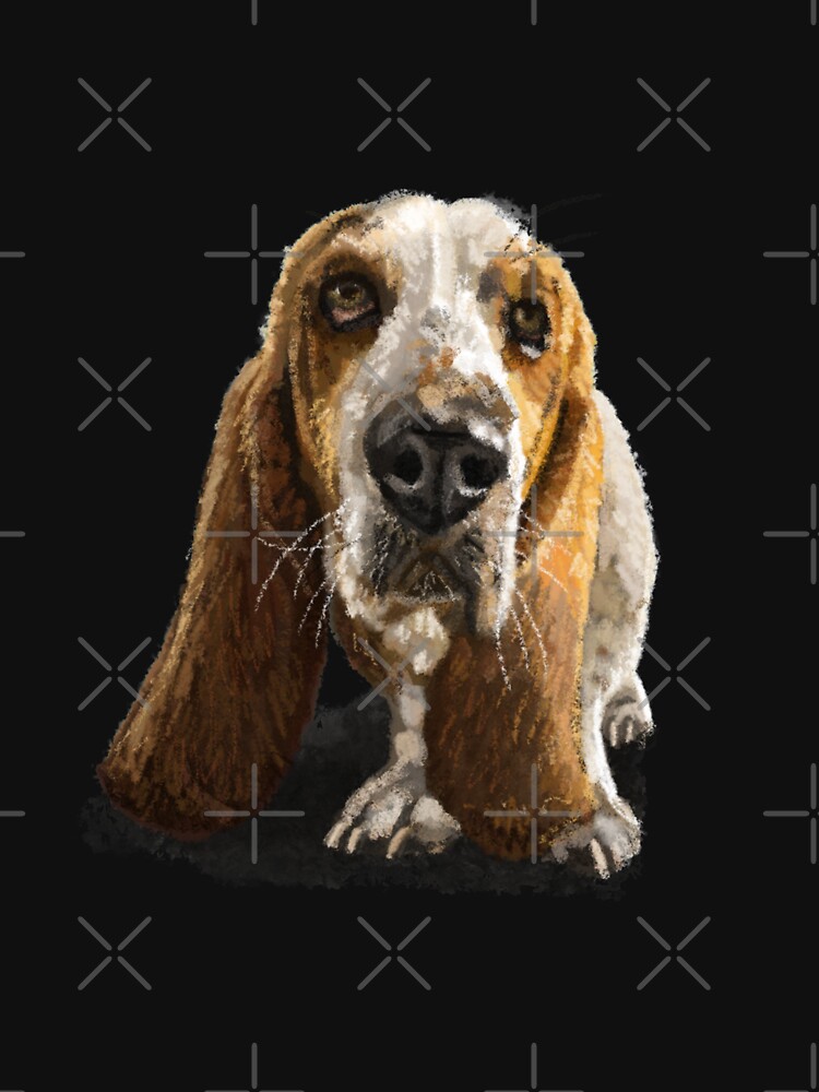 The Basset Hound Dog by elspethrose