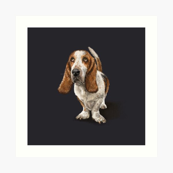 The Basset Hound Dog Art Print