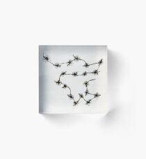Daisy Chains - Illustration Acrylic Block