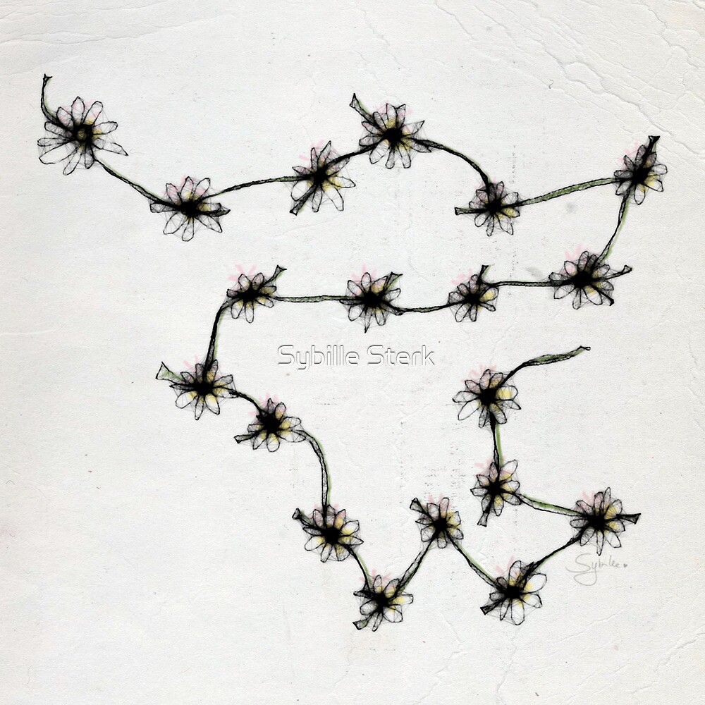 "Daisy Chains Illustration" by Sybille Sterk Redbubble