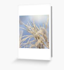 Frozen Greeting Card